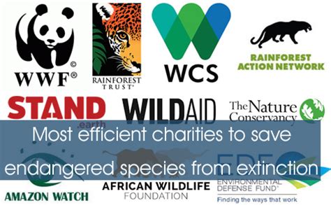 endangered animal charities|The Nature Conservancy: A World Where People.